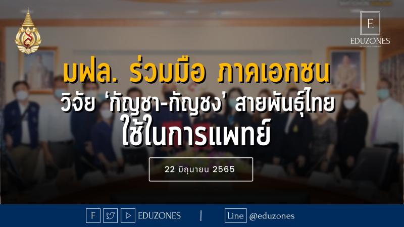 มฟล. ร่วมมือ ภาคเอกชน  วิจัย ‘กัญชา-กัญชง’ สายพันธุ์ไทย  ใช้ในการแพทย์ เจาะจงกลุ่มโรคพาร์กินสัน-อัลไซเมอร์— 22 มิถุนายน 2565